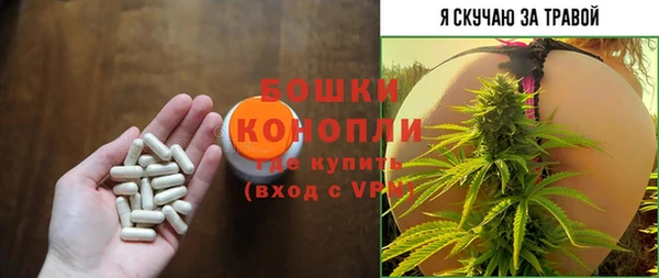 ПСИЛОЦИБИНОВЫЕ ГРИБЫ Абаза