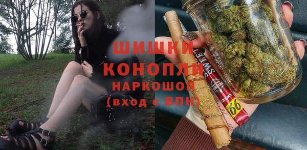 ECSTASY Ельня