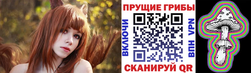 мега ссылка  магазин продажи   Шебекино  Псилоцибиновые грибы GOLDEN TEACHER 