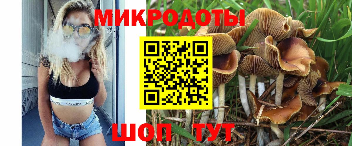 Галлюциногенные грибы Psilocybine cubensis Шебекино