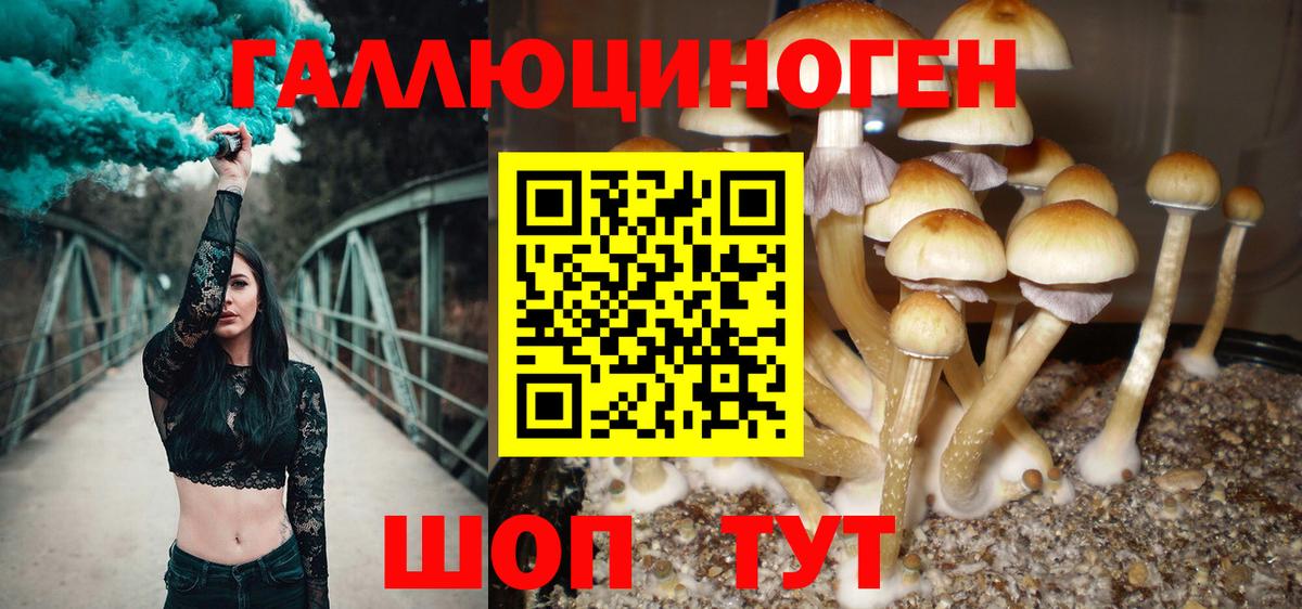 Галлюциногенные грибы Magic Shrooms  Шебекино  продажа наркотиков  Галлюциногенные грибы MAGIC MUSHROOMS 