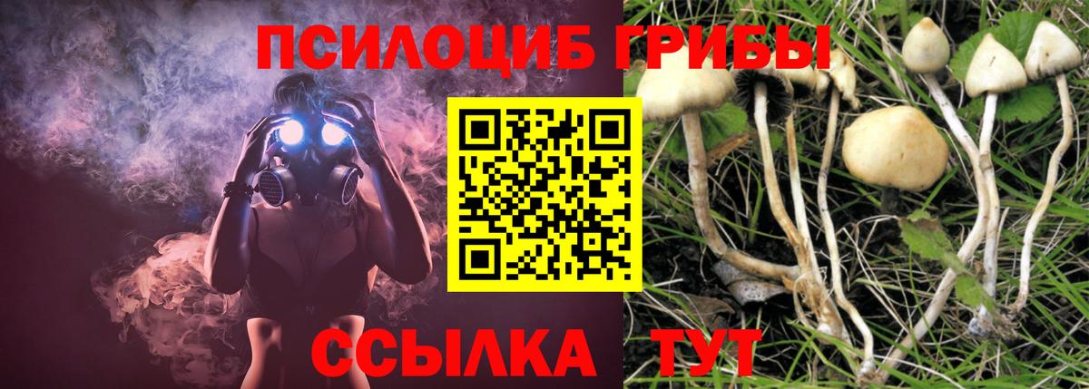 Галлюциногенные грибы мухоморы  Вход с VPN  Шебекино  Псилоцибиновые грибы GOLDEN TEACHER 